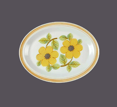 Royal Doulton Summer Days LS1002 oval stoneware platter made in England. - £89.90 GBP