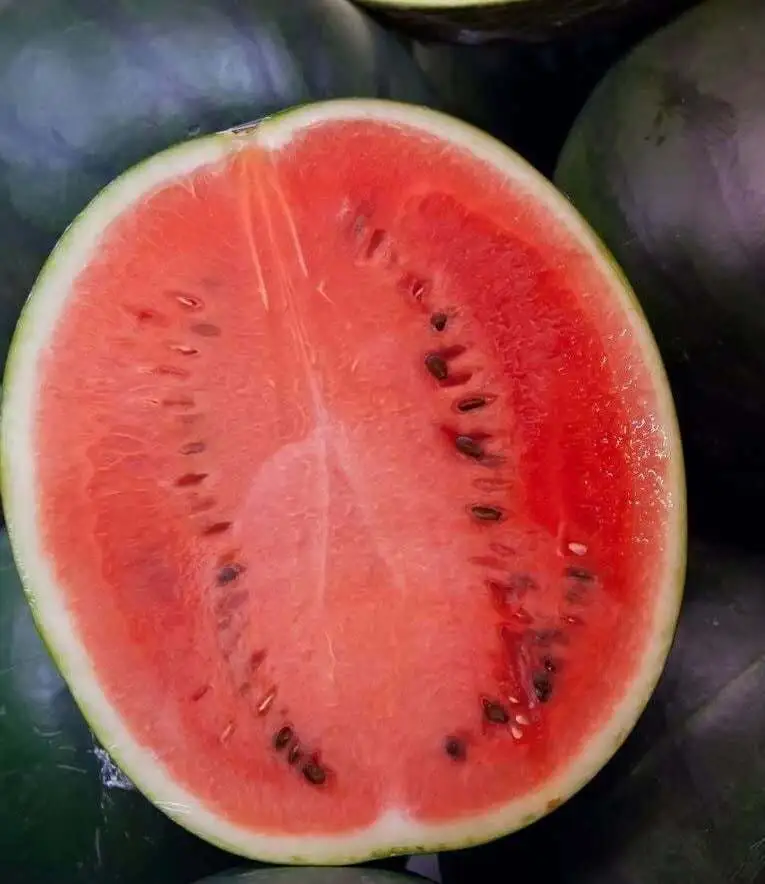 PSStore 25 Seeds Black Diamond Watermelon Collection Non Gmo Heirloom - £7.06 GBP