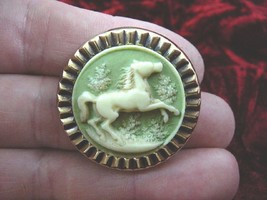 (cs14-31) HORSE ivory + green CAMEO brass Pin Jewelry brooch PENDANT love horses - £22.79 GBP
