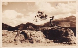 Lone Pine High Drive Colorado CO RPPC Rocky Mountains Real Photo Postcard D59 - £3.92 GBP
