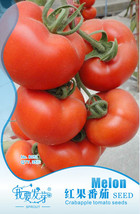 Original Pack, 20 Seeds / Pack, Red Banana Tomato Seed Organic Heirloom Vegetabl - £2.78 GBP