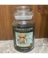 Yankee Candle Sparkling Pine 22 oz Jar Candle Green Holiday Candle - $29.99