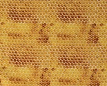 Cotton Honeycomb Honeybees Honey Insects Yellow Fabric Print by Yard D38... - $13.95