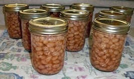 Bean, Taylor Dwarf Hort. Bush, Heirloom, Organic 20 Seeds, Colorful N Tasty - $6.00