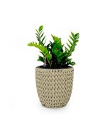 Catleza 14.6&quot; Self-Watering Wicker Planter - Garden Decoration Pot - Bei... - $42.52