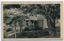 Packard Camps Log Cabin Sebec Lake Maine 1940 postcard - $6.39