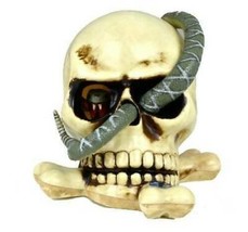 Halloween Decorations Animated Sounds Plastic Skull Snake Head Inside Toy - £15.90 GBP