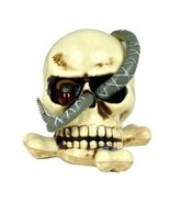 Halloween Decorations Animated Sounds Plastic Skull Snake Head Inside Toy - £15.96 GBP