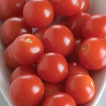 USA Seller Bhn 968 Cherry Tomato Seeds Solanum Lycopersicum Packet Of 5 Seeds Fr - £14.63 GBP