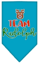 Team Rudolph Screen Print Bandana Turquoise Small - £9.06 GBP