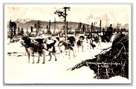 First Dog Sled Team Nome To Seward Alaska AK UNP Sexton Photo Postcard Y16 - $13.32