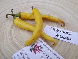 Cayenne Yellow Pepper, 5 seeds (Ch 075) - £2.39 GBP