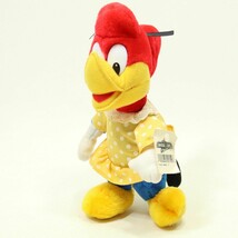 Vintage 1989 Winnie Woodpecker Plush Doll Universal Studio Florida Woody - £8.96 GBP