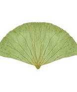 Dried lotus leaf Herbal Tea Food Wrapper Packaging Natura &quot;Bai Bual&quot; 500 g - $276.21 MXN