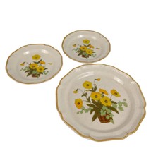 3pc Set Mikasa Japan SUNSHINE Dinner &amp; Salad Plates Stoneware c1970s Garden Club - £19.78 GBP