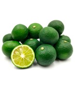 For California only! Sudachi Semi-Dwarf Lime/Sour Mandarin Tree 24-36&quot;, ... - $3,292.70 MXN