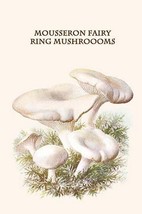 Mousseron Fairy Ring Mushroooms By Edmund Michael - Art Print - £17.34 GBP+