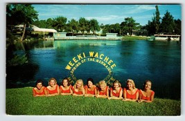Postcard Weeki Wachee Spring Of The Mermaids Florida Underwater Show Chrome 1959 - £28.69 GBP