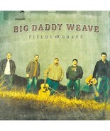 Fields of Grace by Big Daddy Weave (CD, Jun-2005, Fervent Records) - £5.34 GBP