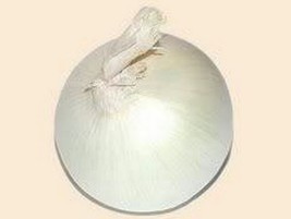 HS Onion Sweet White Spanish 200 Seeds  - £4.76 GBP