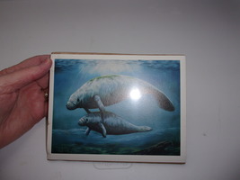 Wildlife Arts by Laurie Dyer Mom and Baby Manatee 5 ½” x 6” Print - £3.92 GBP