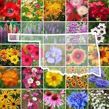 From Usa Wildflower Oklahoma State Flower Mix Perennials &amp; Annuals Usa Non-GMO 1 - £3.18 GBP