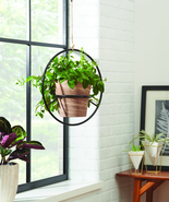 Round Iron Black Plant Hanger, 16.1&quot; Diameter x 7.9&quot; Width, Indoor Use - €17,35 EUR