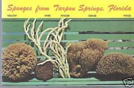 Sponges from Tarpon Springs,Florida Postcard - £1.96 GBP