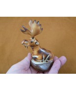 (TNE-MOO-644B) brown Moose TAGUA NUT nuts palm figurine carving in rut a... - $50.24 CAD