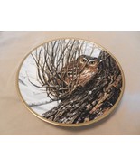 Hiding Place Collector&#39;s Plate Noble Owls of America Spode Seerey-Lester... - £31.60 GBP