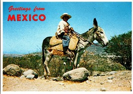 Vtg Postcard Greetings from Mexico, Mexican Boy in his Burro and his Dog - £5.25 GBP