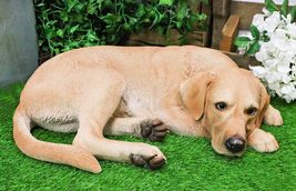 Large Realistic Sleeping Yellow Labrador Retriever Statue 21"H Golden Re... - $294.99