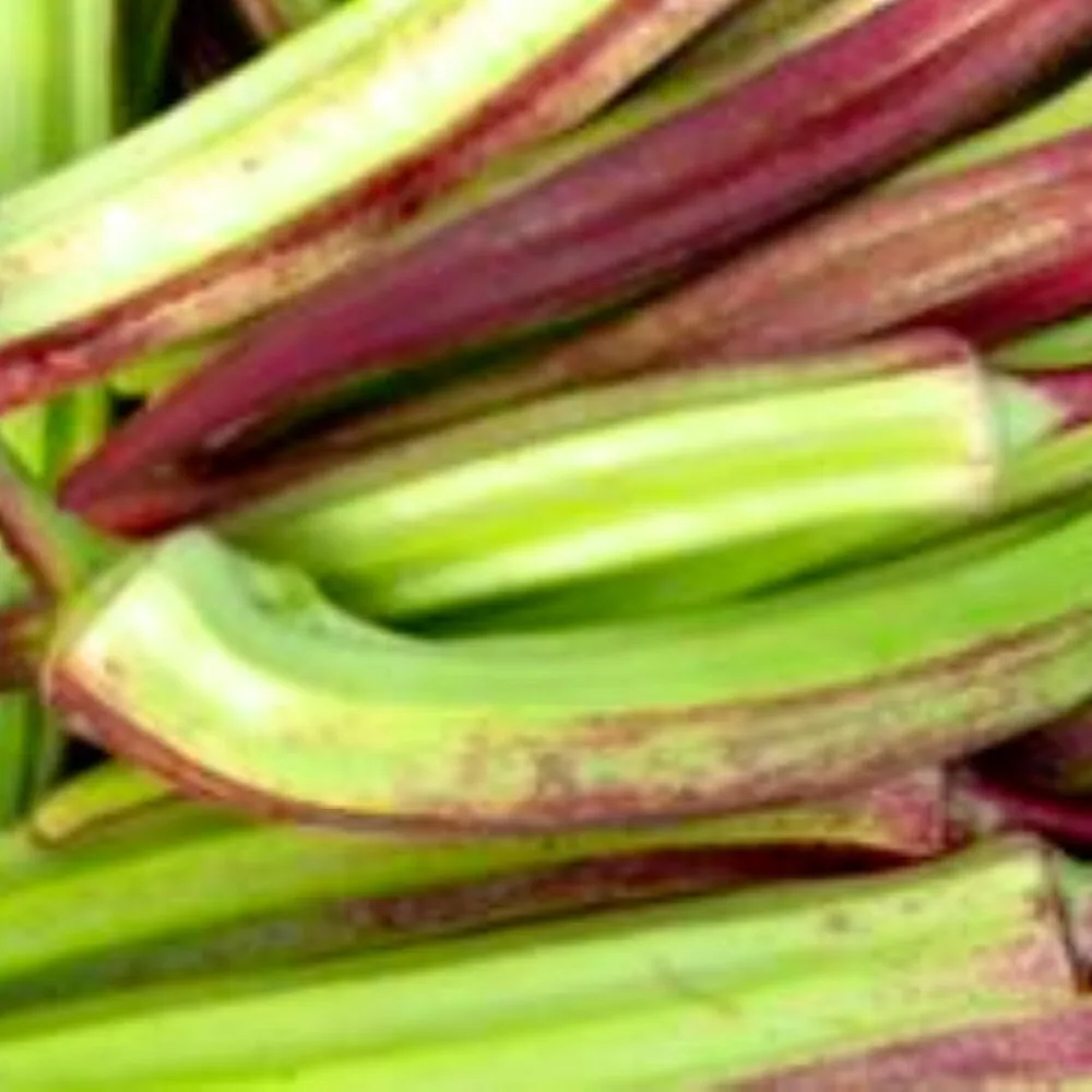Hill Country Red Okra 100 Seeds Seeds Non GMO - £5.14 GBP