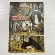 The Wildlife Exhibit at Bushkill Falls Pennsylvania Postcard - $2.88