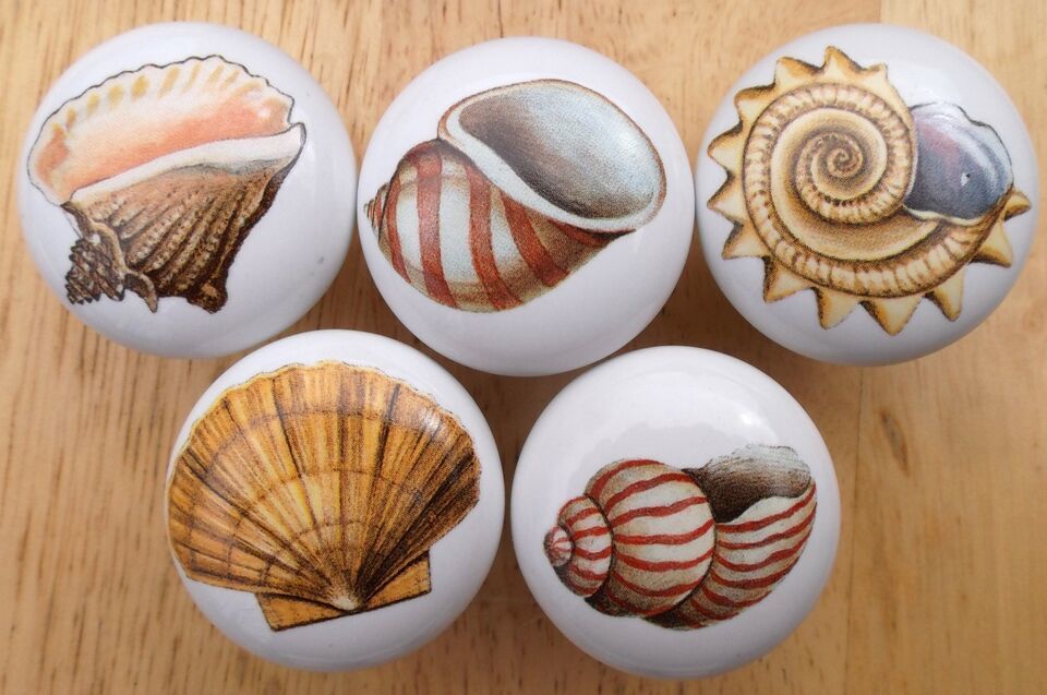 Cabinet Knob 5 Seashell (5) @Pretty@ - $25.99
