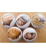 Cabinet Knob 5 Seashell (5) @Pretty@ - $35.46 CAD