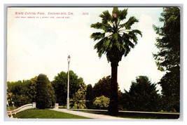 State Capitol Park Sacramento California CA UNP DB Postcard N24 - £1.54 GBP