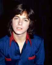 David Cassidy 8x10 Photo (20x25 cm approx) 1970&#39;s in blue shirt Partridg... - $179.76 MXN