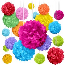 Tissue Paper Pom Poms - 20 Piece Set - Colorful Party Decorations - Paper Flower - £27.17 GBP