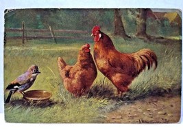 Roosters Chickens Bird Rustic Farmland Postcard Signed Muller Germany Series 216 - £10.90 GBP