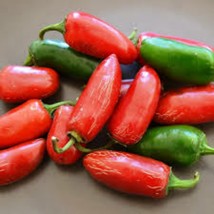 Tam Jalapeno seeds for planting,TAM Jalapeno chili pepper seeds - $2.50