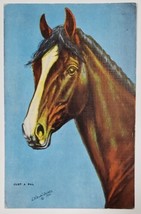 Larsen Artist Signed Horse Portrait Just a Pal from Oil Painting Postcard D25 - £7.94 GBP