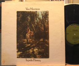 Van Morrison Tupelo Honey Vinyl LP WB WS 1950 VG++ 1st Pressing Wild Night 1971 - £24.04 GBP