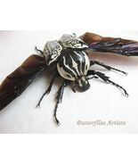 Rare Goliathus Orientalis Female XL Flying Beetle Framed Entomology Shadowbox - $168.00