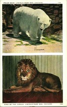 Vtg Postcard Chicago Illinois IL Lincoln Park Zoo Polar Bear and Lion Multi UNP - £3.07 GBP