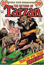 Tarzan Comic Book #221 DC Comics 1973 FINE+ - £6.08 GBP