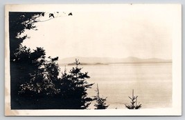 RPPC Mountain Scene Through The Trees From Across Ocean  Postcard W21 - £6.28 GBP