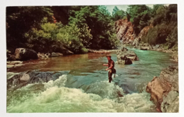 Fly Fishing for Trout River Rapids Scenic View Virginia VA UNP Postcard c1960s - £4.72 GBP