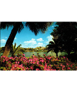 Postcard - Azaleas beside Mirror Lake - St. Petersburg, Florida (A14) - £3.85 GBP
