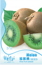 10 Original Packs, 30 seeds / pack, Exotic Fruits Hardy Kiwi Vine Fruit Deliciou - £13.50 GBP